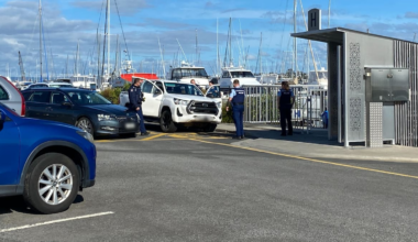 Man jumps into Tauranga Harbour after police spike fleeing vehicle