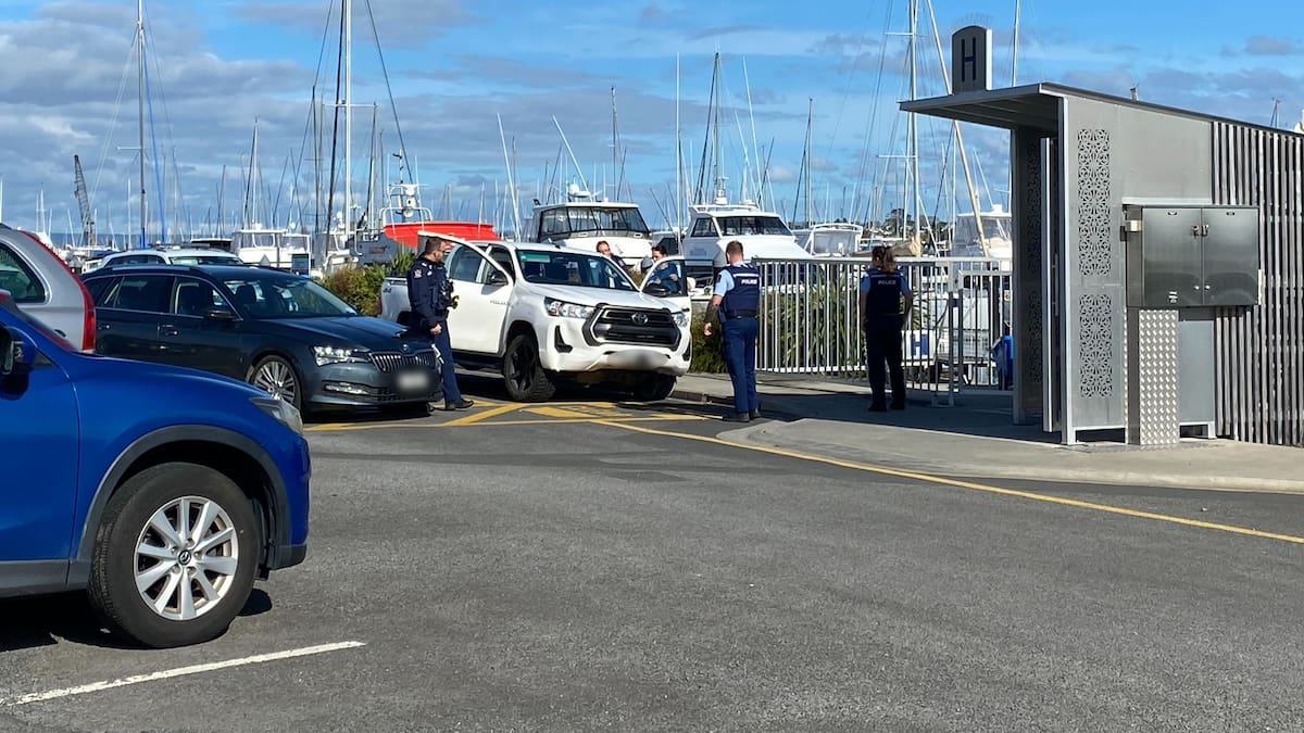 Man jumps into Tauranga Harbour after police spike fleeing vehicle
