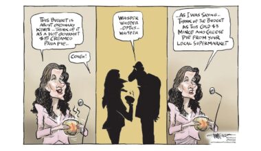 Rod Emmerson’s cartoons: Week of May 25-31