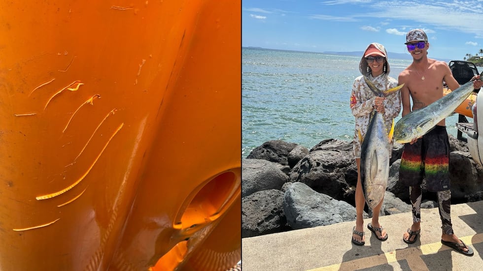 Cheslei Akima and Alika Dickerson were paddling in waters off Olowalu when a tiger shark bit...