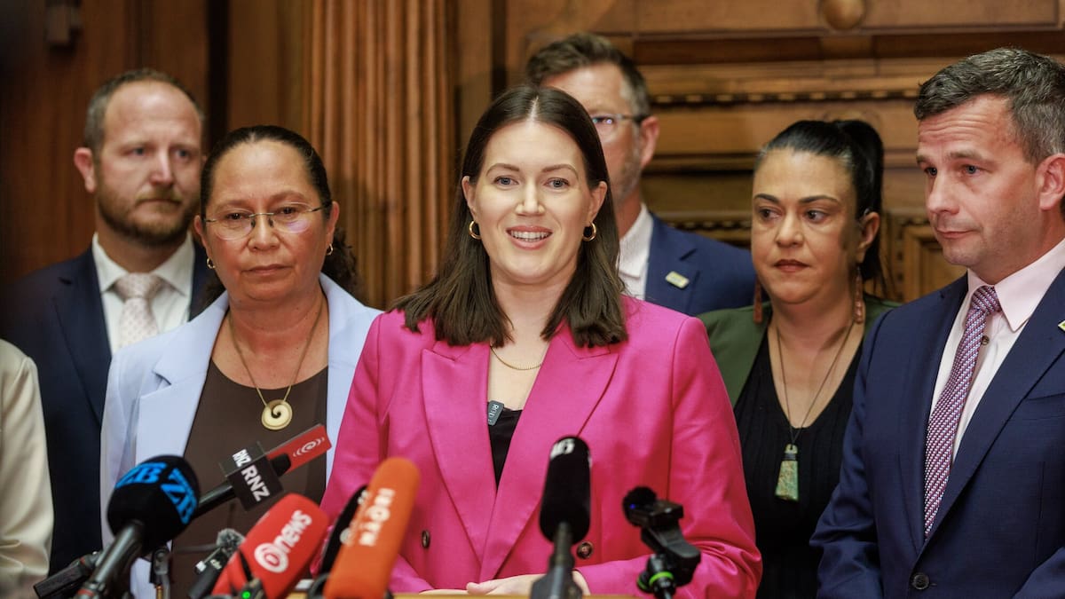 NZ citizenship test covering ‘responsibilities and privileges’ announced for migrants