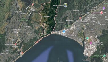 'Very in shock': Son witnesses mother's death on Wellington motorway - NZ Herald