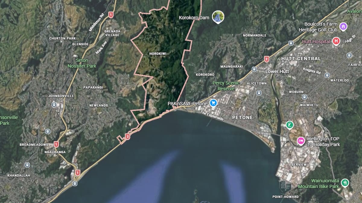 'Very in shock': Son witnesses mother's death on Wellington motorway - NZ Herald