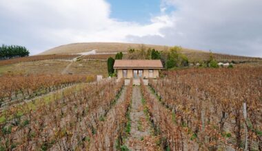Canterbury’s Bell Hill Named NZ’s Winery Of The Year, Full Top 50 Revealed