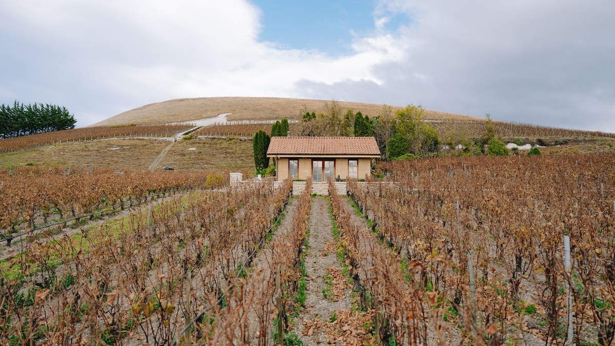 Canterbury’s Bell Hill Named NZ’s Winery Of The Year, Full Top 50 Revealed