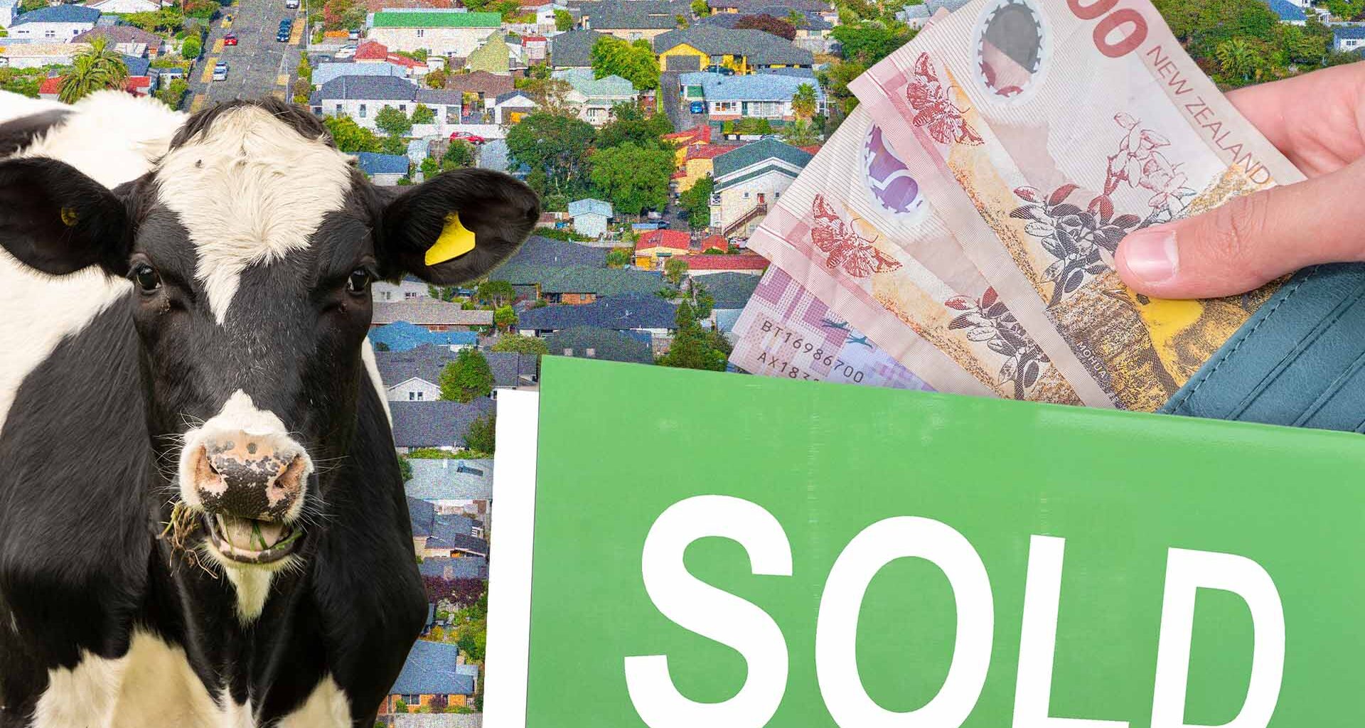 Rising mortgage rates could reduce house prices further - RBNZ