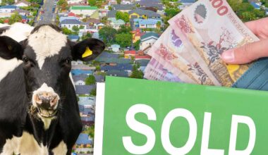 Rising mortgage rates could reduce house prices further - RBNZ