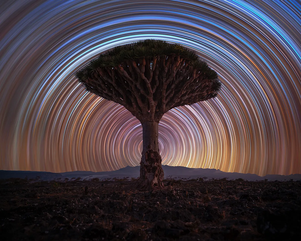'Dragon Tree Trails' by Benjamin Barakat is the winner of the Astronomy Photographer of the Year People's Choice Award 2026