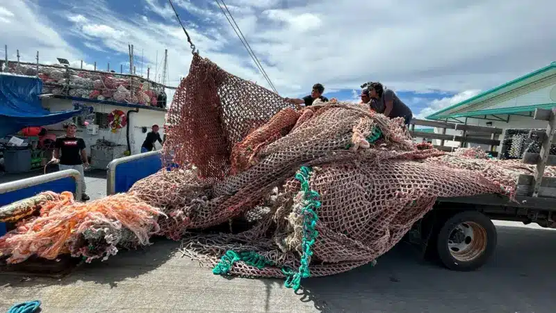 Fishing Nets Collected For Hawaii’s Recycled Road Project