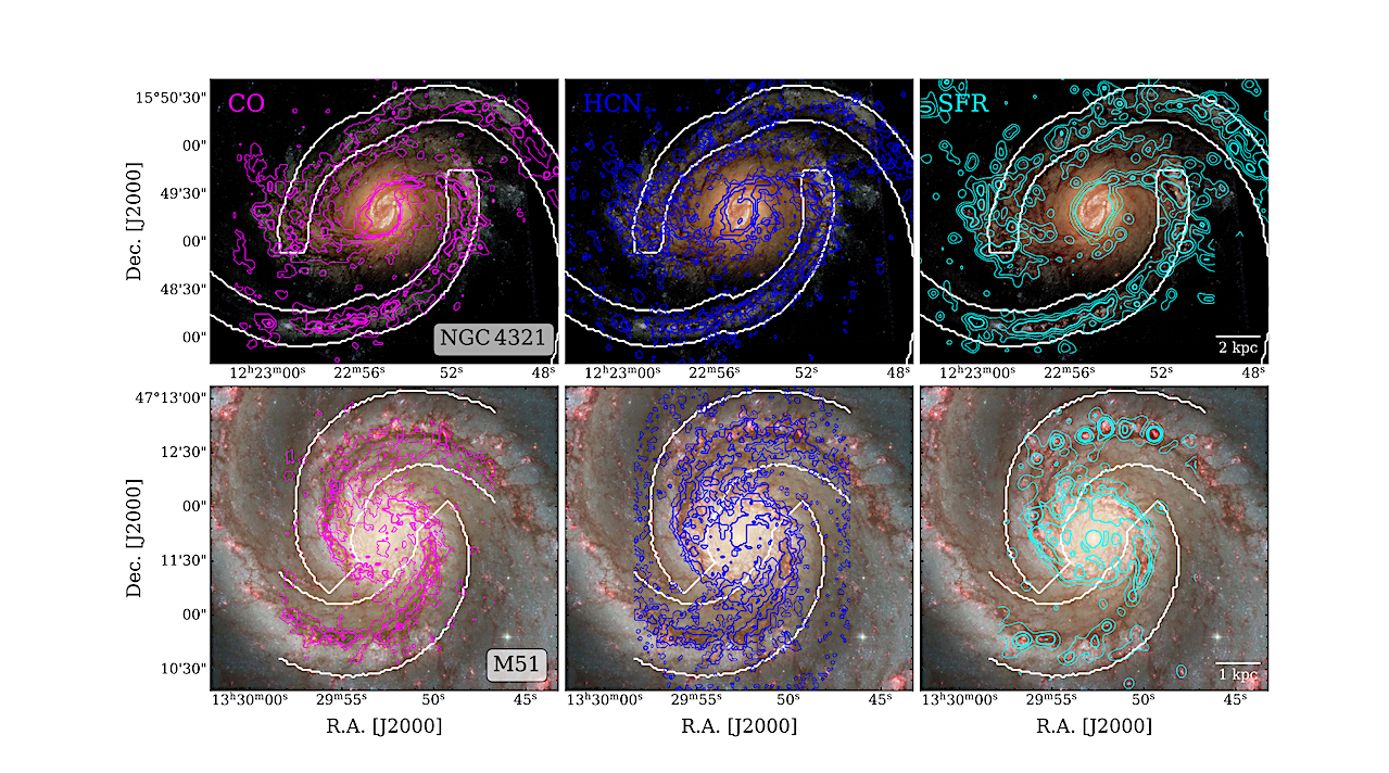 From Gas To Stars Along The Spiral Wave: CO, HCN, And Star Formation Variations Across The Spiral Arms In NGC 4321 And M51