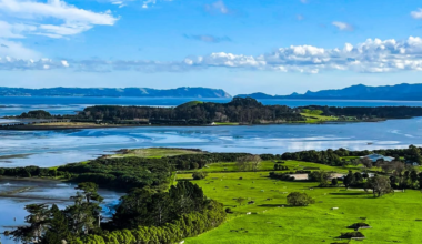 Puketutu Island to close, Watercare eyes new landfill or incinerator for Auckland’s waste