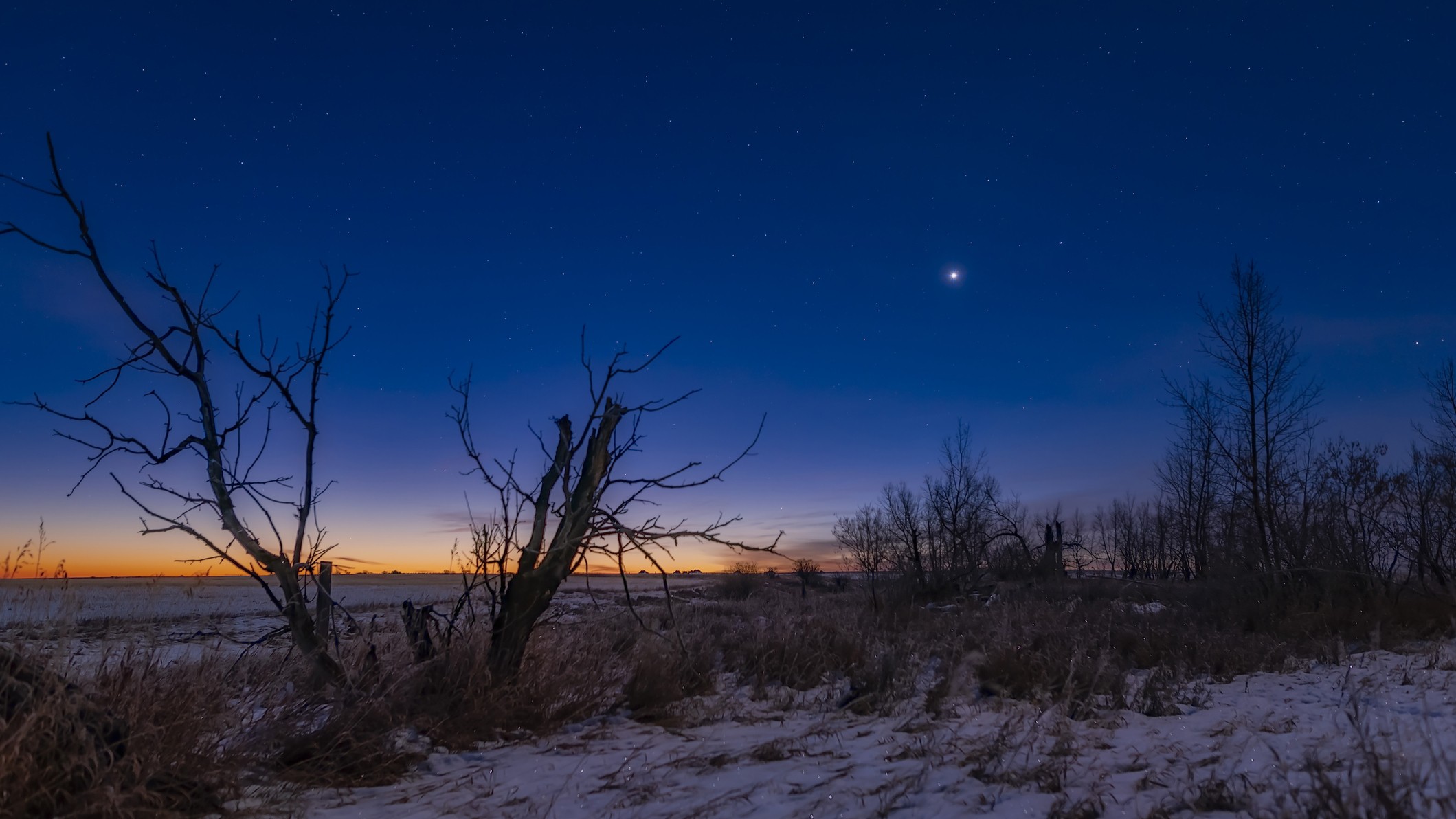 A bright dot of light in the deep blue sky stands out as a prominent feature of the night sky - this is Venus shining brightly above silhouetted trees in the foreground of the image. There is a smaller star to the right - this is Spica.