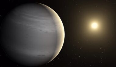 Gas Giant Exoplanet TOI 4465 B Orbiting Distant Star