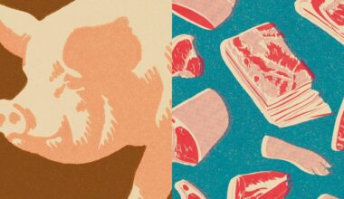 What is the “meat paradox”? Why we don’t want animals harmed but won’t stop eating them.