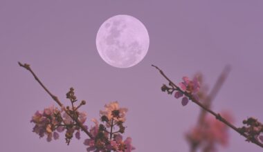 When Is May 2026’s Full Moon? Why Tonight’s Is a ‘Flower Moon’