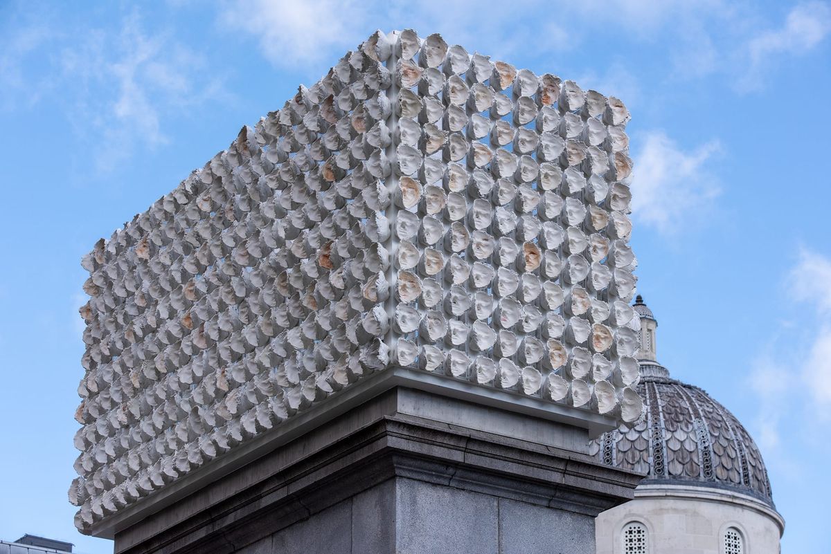 First US Survey of Mexican Artist Teresa Margolles Coming This Fall