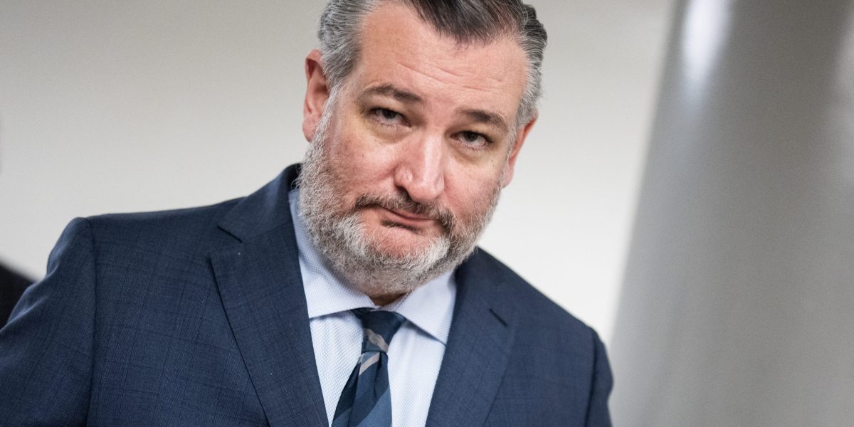 Ted Cruz says Trump accounts are Social Security personal accounts, revealing 'dirty little secret'
