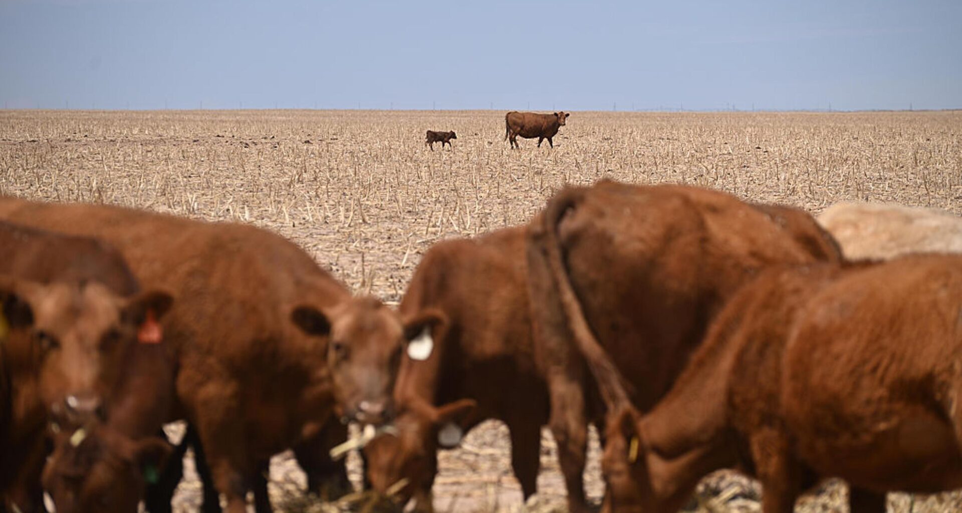 The Worst Spring Drought on Record Is Putting U.S. Crops at Risk