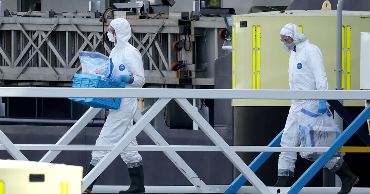 Hantavirus cases linked to cruise ship outbreak rise to 13 – POLITICO