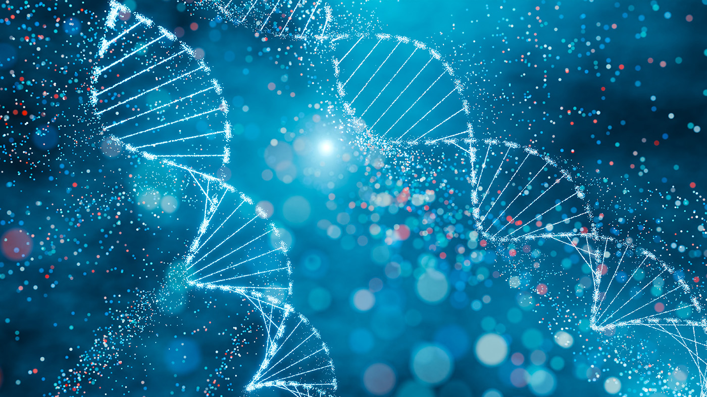 AI Model Offers Map of How Genes Work Together in Different Cellular Contexts