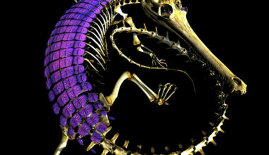 Scientists Solve 320-Million-Year Mystery of Reptile Skin Armor