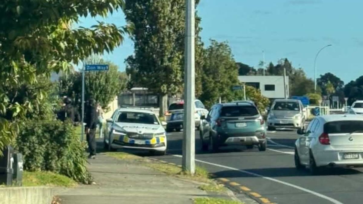 Traffic delays expected as Tauranga police operation runs near Otūmoetai
