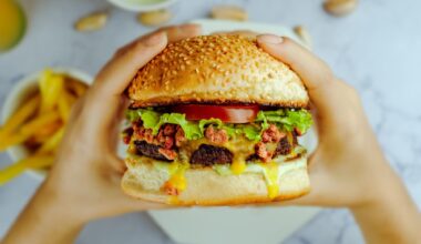 Hamburger Unhealthy Junk Food Obesity
