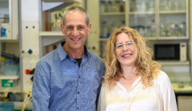 Hebrew University