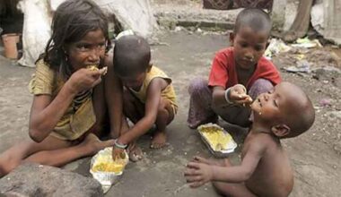 The Nature and Likely Impact of the Impending Economic Crisis in India