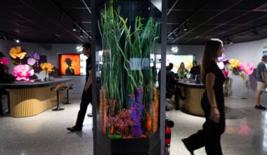 Fujifilm House of Photography opens in Albany as flagship creative hub