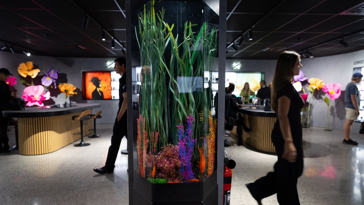 Fujifilm House of Photography opens in Albany as flagship creative hub