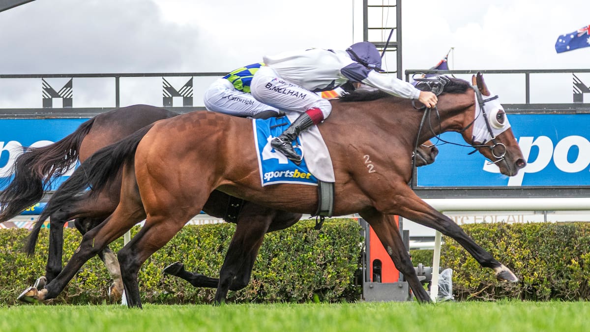Mick On Monday: Kiwi trainers luckless but NZ owners nail it