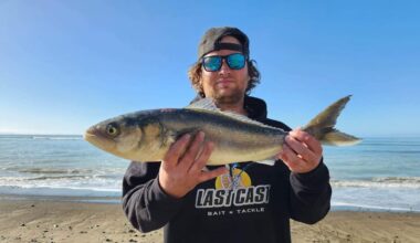 Hawke’s Bay Last Cast Winter Kahawai Competition returns with $25k prize pool