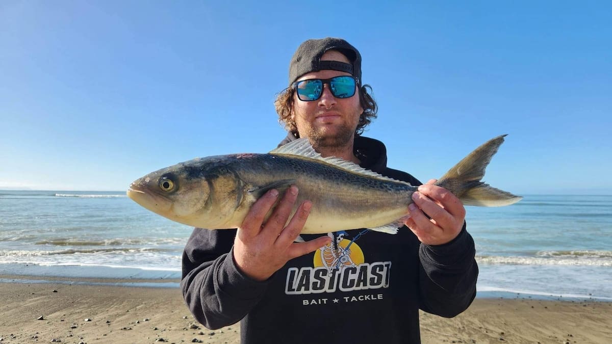 Hawke’s Bay Last Cast Winter Kahawai Competition returns with $25k prize pool