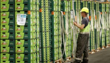 Port of Tauranga capacity limits threaten plans to double kiwifruit exports - Zespri CEO