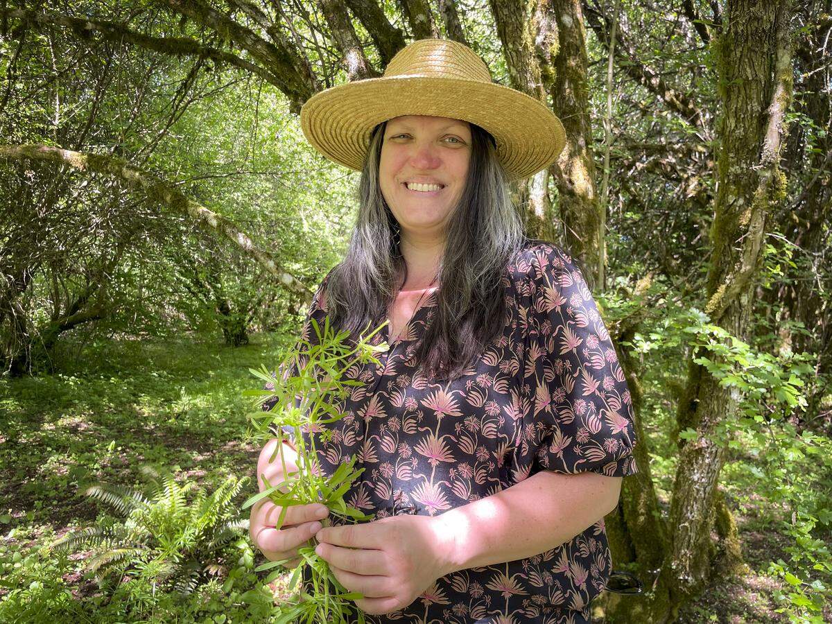 Sara Butters, the owner of Hawthorn & Honey apothecary and herbal medicine shop in Tacoma, holds some cleavers during a spring foraging workshop she taught in Charlotte's Blueberry Park on May 3, 2026.