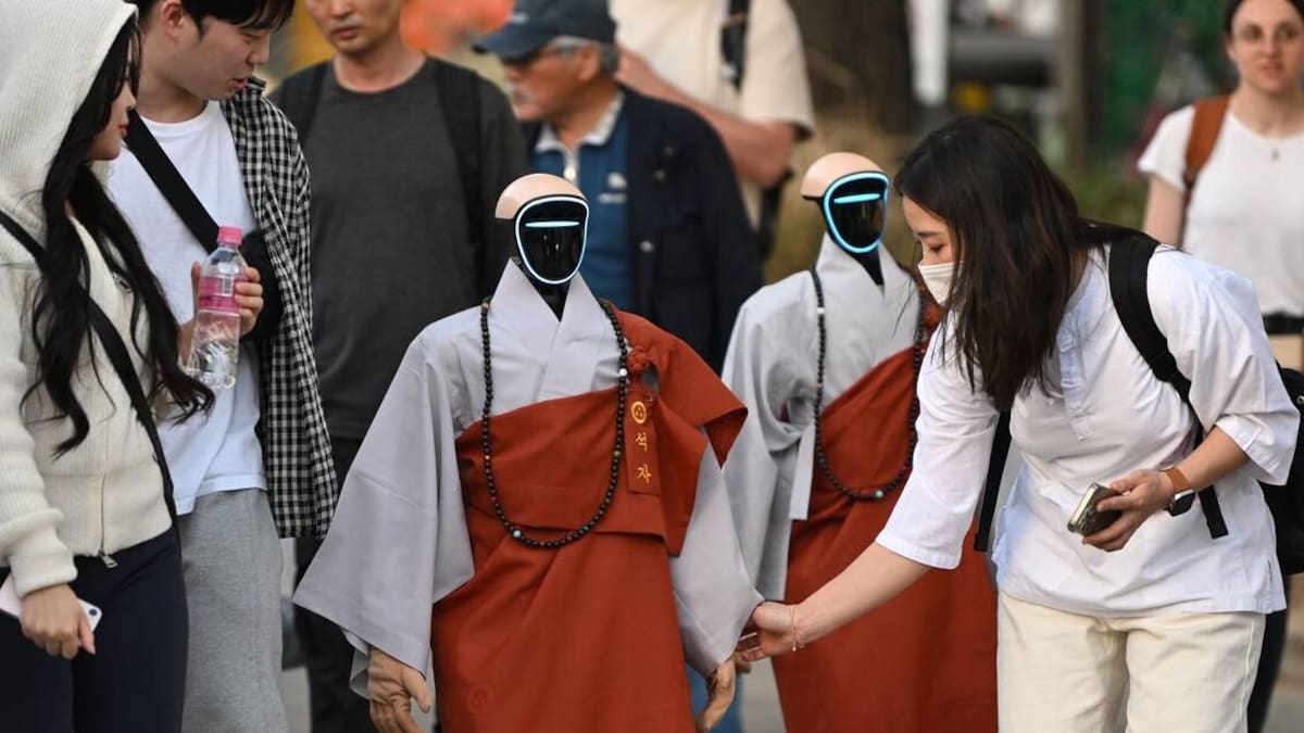 Air NZ says no blanket humanoid robot travel companion ban but battery rules important