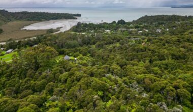 Why planning reforms have people concerned about the Waitākere Ranges and development