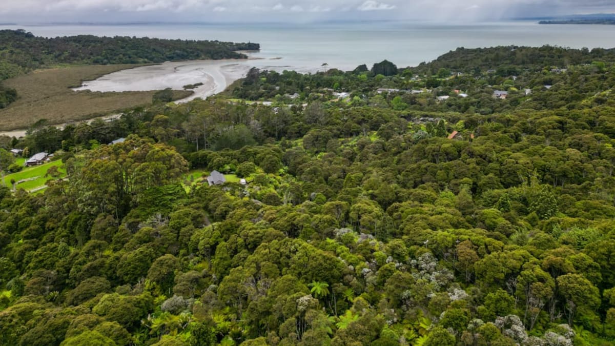 Why planning reforms have people concerned about the Waitākere Ranges and development