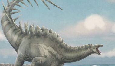 Illustration of Dacentrurus armatus