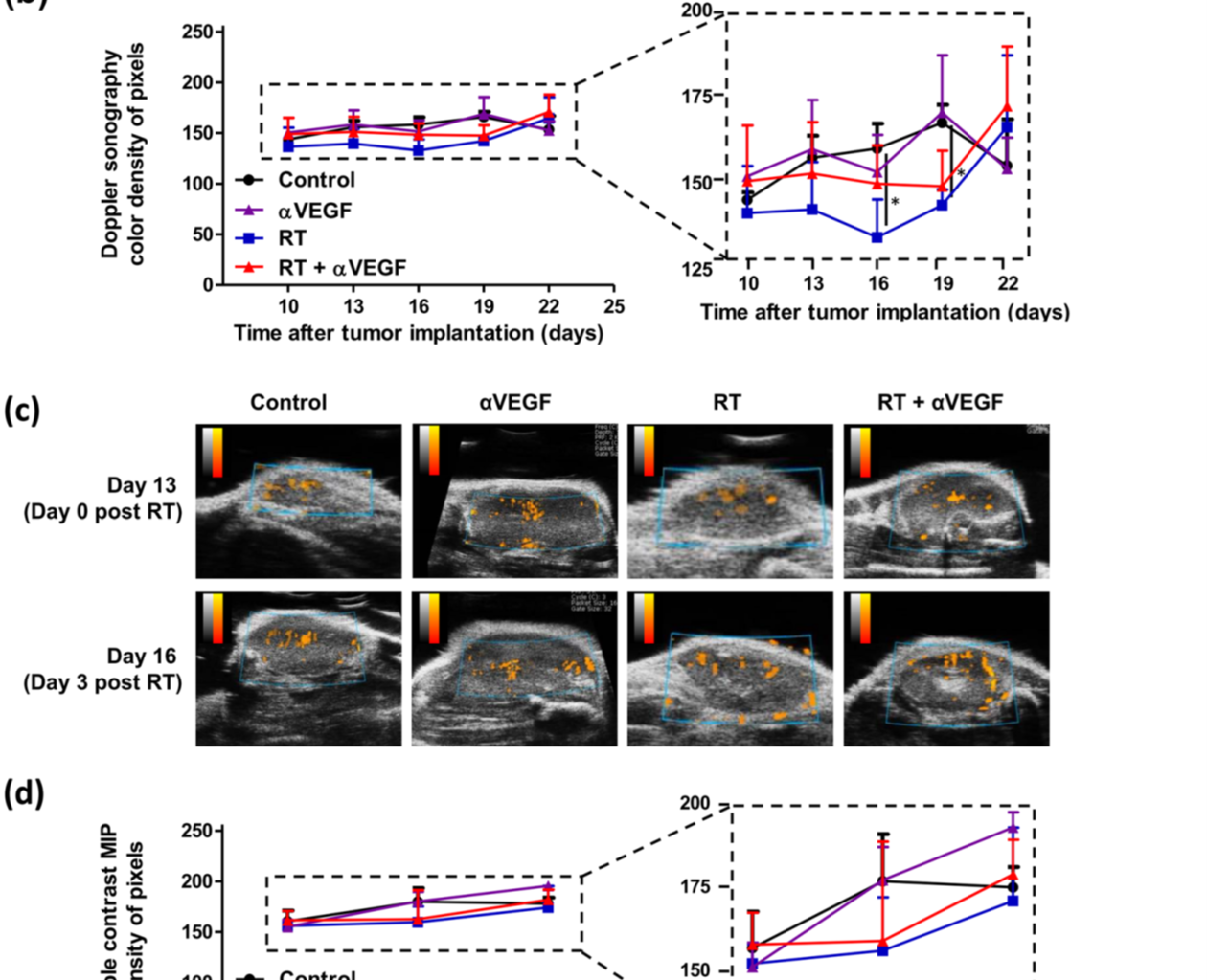 Tumor vasculature response to radiotherapy (RT) and anti-VEGF therapy