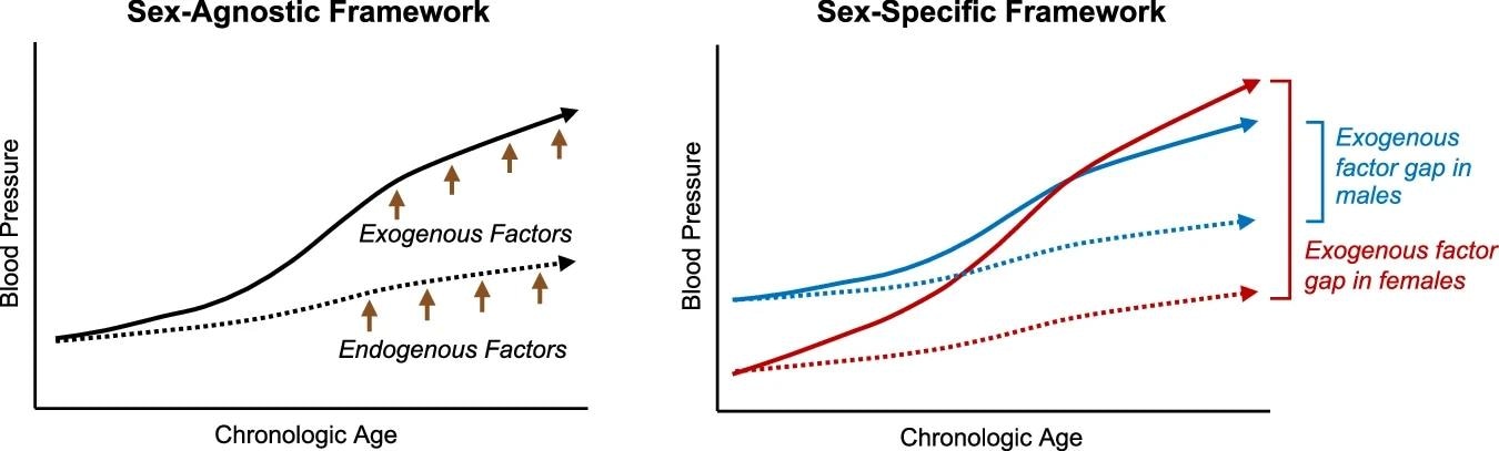 The left panel demonstrates the blood pressure trends over the life course as affected by endogenous factors (dotted line) and exogenous factors (solid line) in the overall population; the right panel demonstrates the blood pressure trends over the life course as affected by endogenous factors (dotted line) and exogenous factors (solid line), among females (red) and males (blue).