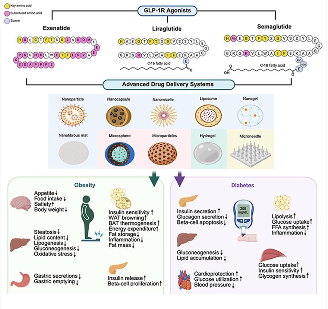 Review: Advances in GLP-1 receptor agonists delivery systems for obesity and diabetes