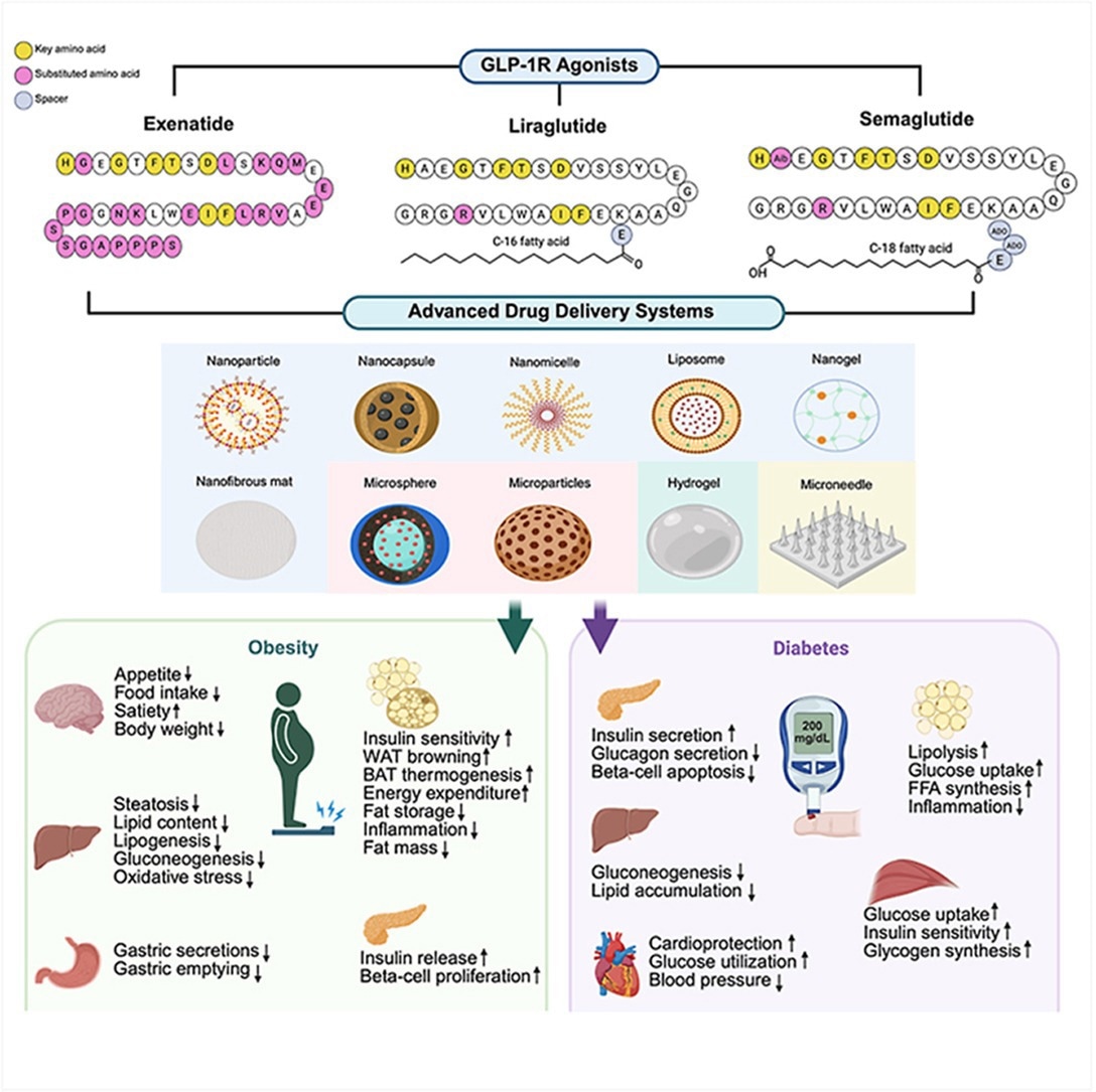 Review: Advances in GLP-1 receptor agonists delivery systems for obesity and diabetes