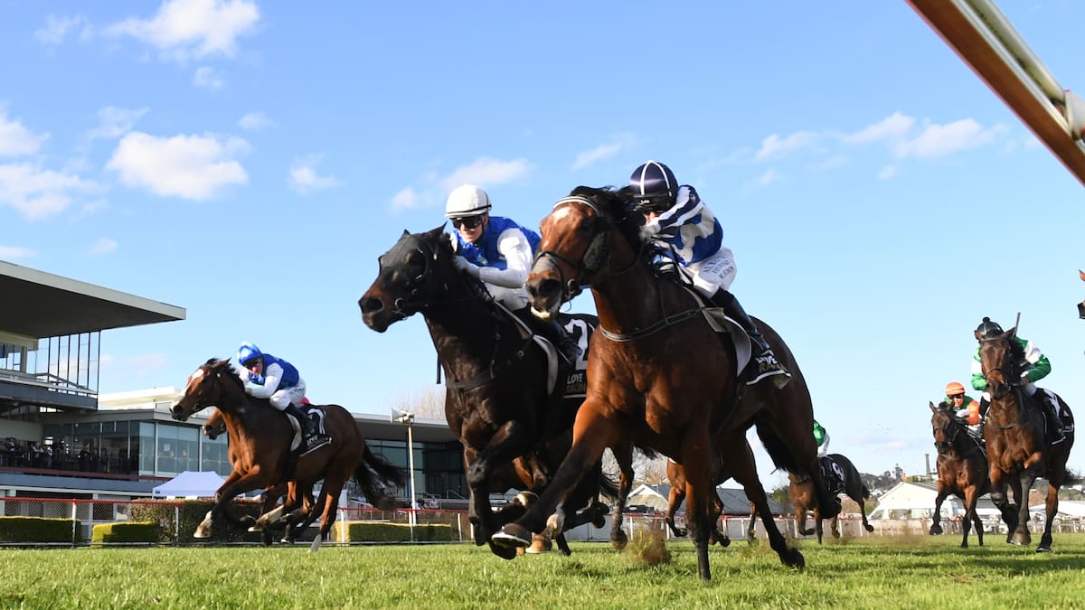 Gavelhouse giveaway horse Electron wins NZ’s biggest race of the weekend