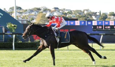 Horse racing: Grinzinger Moon extends unbeaten NZ run as stakes targets loom