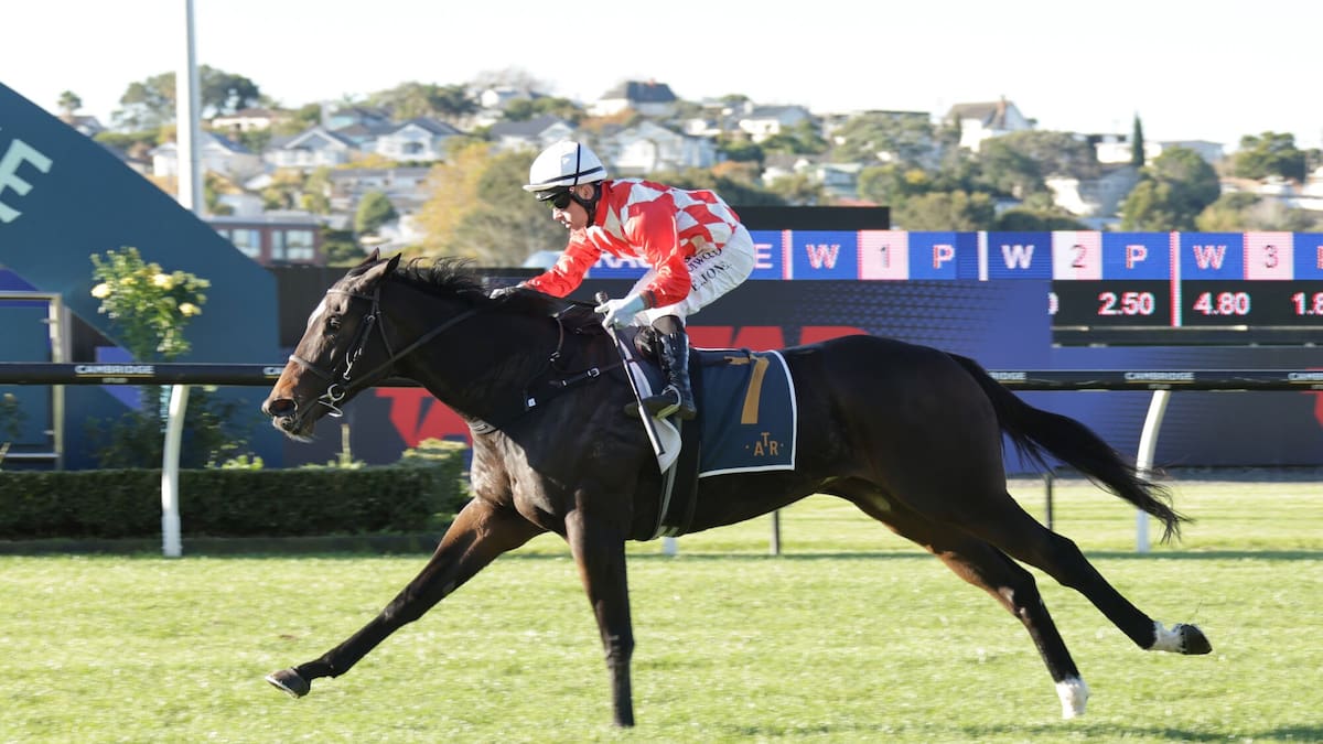 Horse racing: Grinzinger Moon extends unbeaten NZ run as stakes targets loom