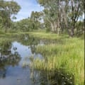 Jonathon Guyer’s property as it normally appears