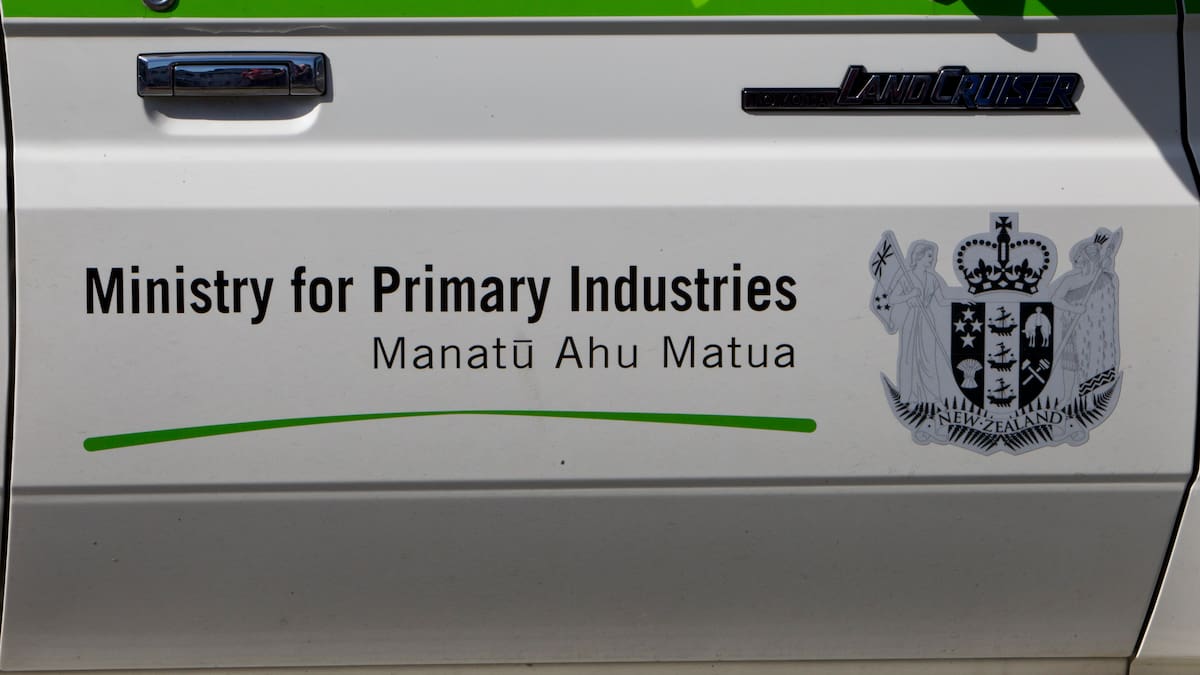 MPI told to temporarily reinstate Mujahid Khan after firing over workplace complaints