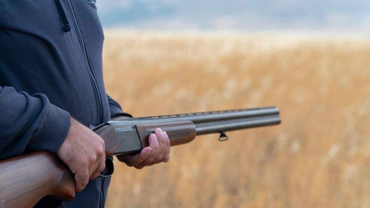 Northland man Alan Sutherland loses firearms-licence fight after neighbour disputes